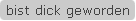 bist dick geworden