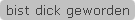 bist dick geworden